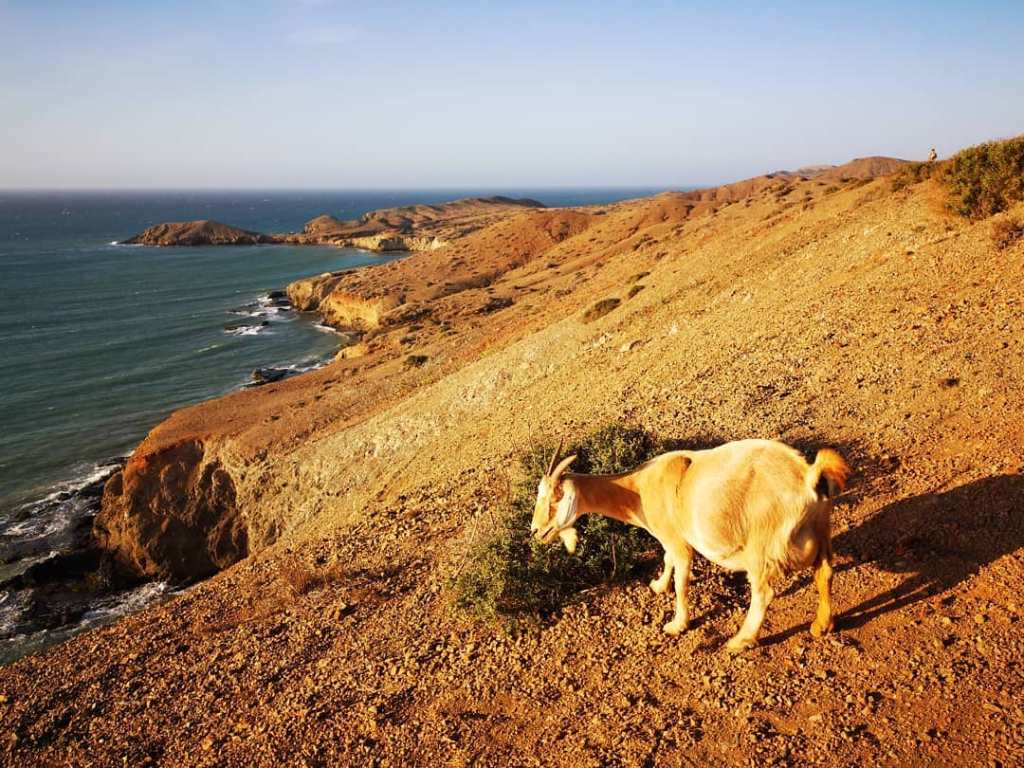giorno 14: CABO DE LA&nbsp;VELA