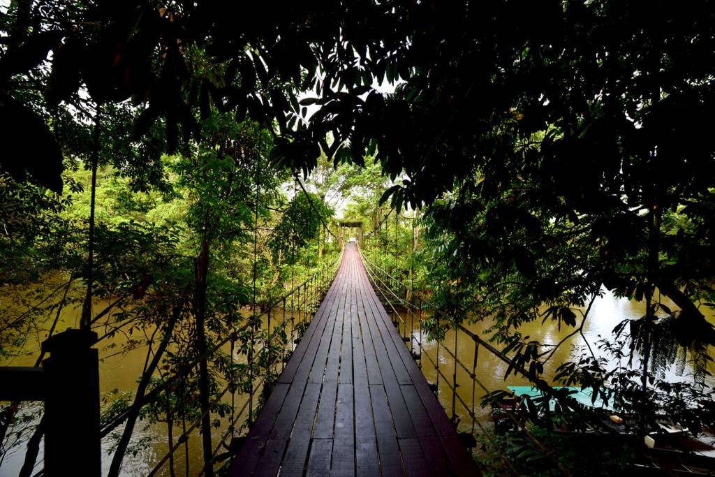 giorno 7: MULU WORLD HERITAGE AREA