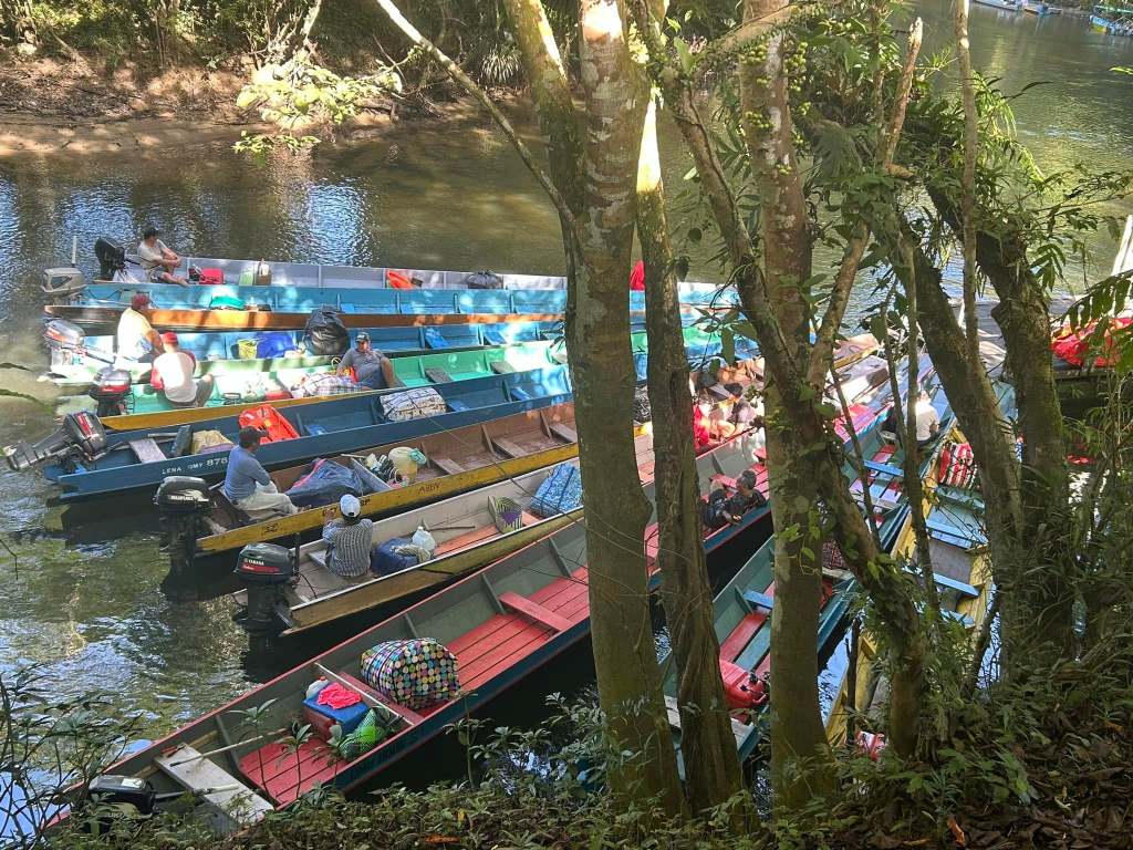 giorno 8: GUNUNG MULU NATIONAL PARK