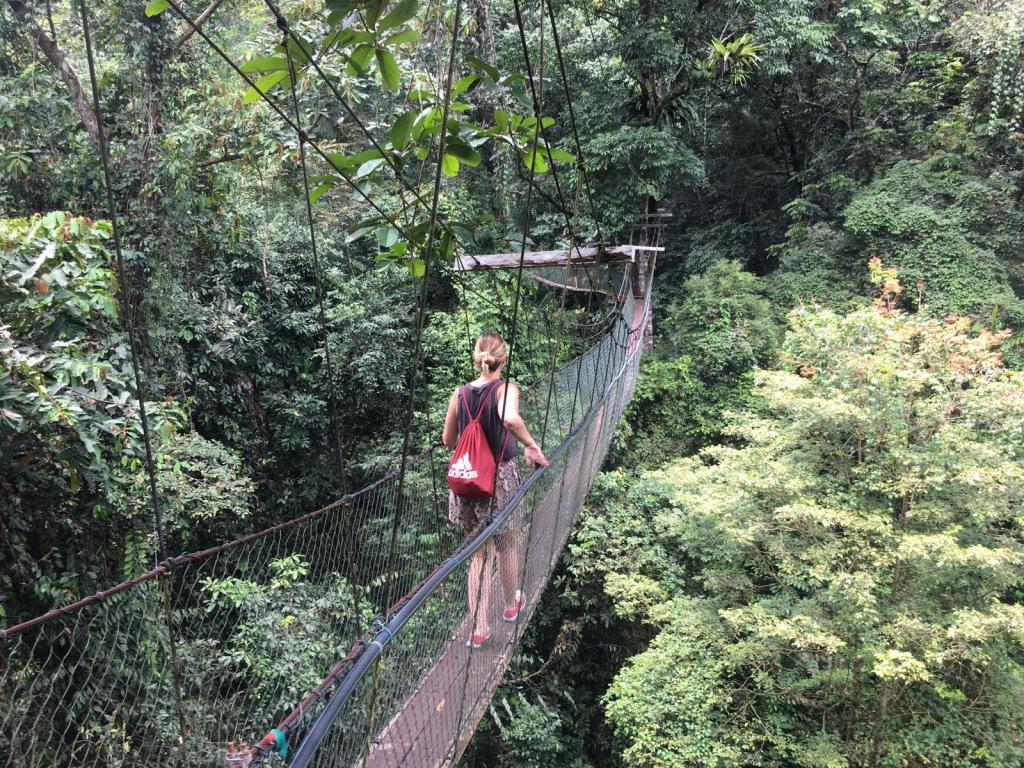 giorno 9: CANOPY&nbsp;SKYWALK