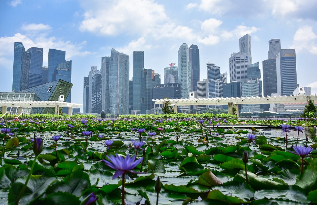 Guida Bionda a Singapore: la città perfetta (con qualche trucco per goderla davvero)